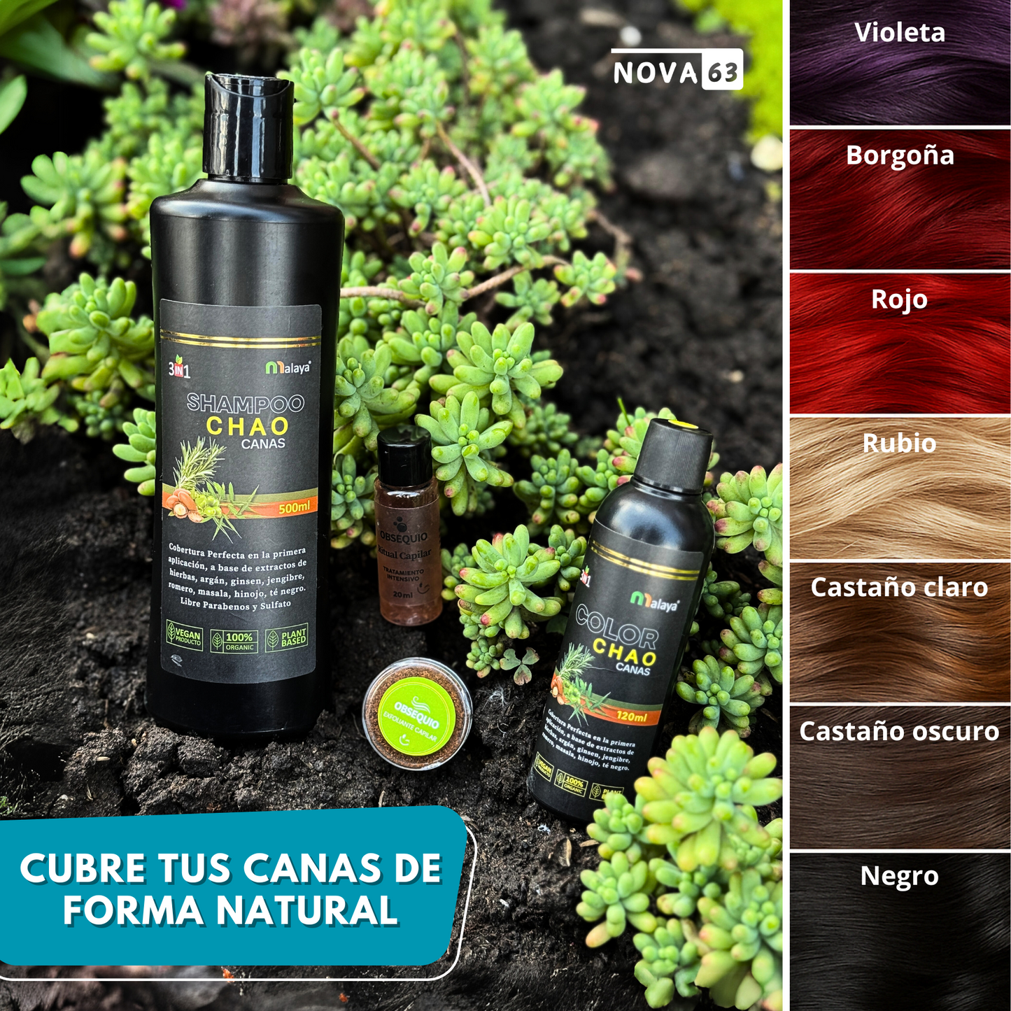 CHAO CANAS® - Shampoo + Tratamiento activador + 2 Obsequios